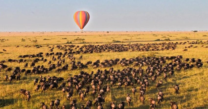 From Nairobi: 3 Days, 2 Nights Maasai Mara Group Safari - Image 3