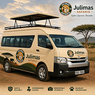 Julomas p