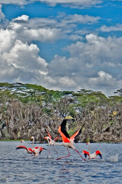 Nakuru