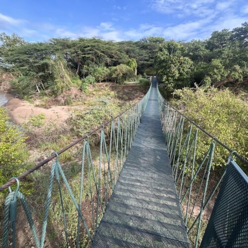Mara Safari Escape at Tipilikwani