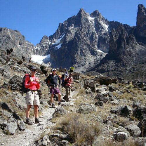 From Nairobi: Mount Kenya National Park Full-Day Hike